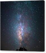 Lone Tree Milky Way Canvas Print