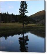 Lone Tree On Lake Canvas Print