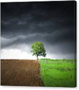 Lonely Tree Against A Dramatic Sky! Canvas Print