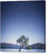 Lonely Tree Canvas Print