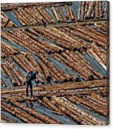 Lumber Worker With Axe Canvas Print