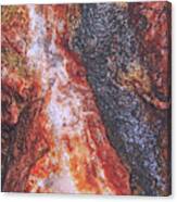 Macro Quartz Rock Canvas Print