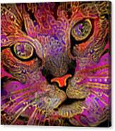 Maggie May The Magenta Tabby Cat Canvas Print