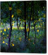 Magic Fireflies Canvas Print