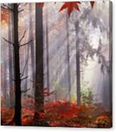 Magical Autumn Scenery In A Dreamy Canvas Print