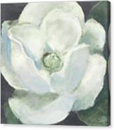 Magnolia Ii Sage Canvas Print