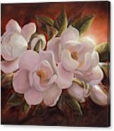 Magnolia Sunrise Canvas Print