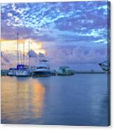 Marina In The Morning Canvas Print
