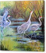 Marsh Symphony - Sounds Of The Sand Hill Crane Canvas Print