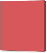 Medium Coral Solid Plain Color For Home Decor Pillows And Blanks Canvas Print