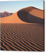 Mesquite Dunes #1-v Canvas Print