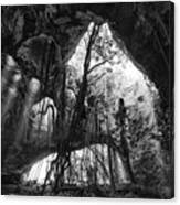 Middle Caicos Cave In Bw Canvas Print