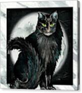 Midnight Cat Canvas Print