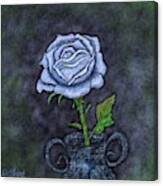 Midnight Rose Canvas Print