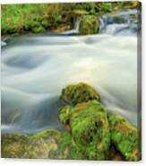 Missouri Mossy River Landscape Canvas Print