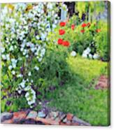 Mock Orange And Poppies Canvas Print