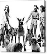 Models With Dogs On Leashes, Vogue Canvas Print