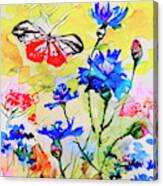 Modern Floral Art Butterfly Cornflowers Canvas Print