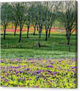 Monet's Orchard Canvas Print