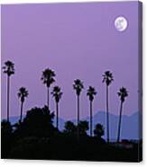 Moon Over Palm Trees At Dusk Canvas Print