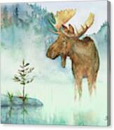 Moose And Tree Canvas Print