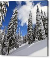 Mores Creek Summit Record Snow Fall Canvas Print