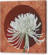 Morning Chrysanthemum Iii Canvas Print