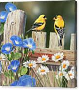 Morning Glories And Finches Canvas Print