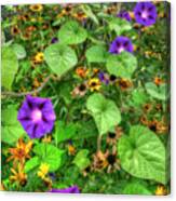 Morning Glories Vertical Canvas Print