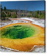 Morning Glory Pool In Yellowstone Canvas Print