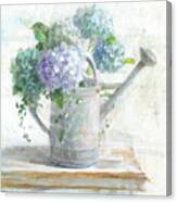 Morning Hydrangeas Ii Canvas Print
