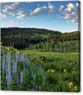 Caribou National Forest Idaho Canvas Print
