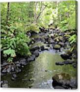 Mossy Brook Canvas Print