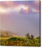 Mount St Helens Morning Mist Canvas Print