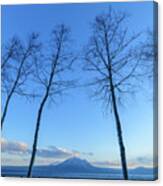 Mount Tarumae From Lake Shikotsu, Hokkaido, Japan Canvas Print
