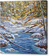 Mountain Landscape Winter By Richard Pranke Canvas Print