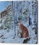 Mountain Lion Canvas Print