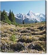 Mountain Meadow And Mountains, Jasper Canvas Print