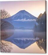 Mt. Fuji In Winter Canvas Print