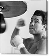 Muhammad Ali Punching Bag Canvas Print