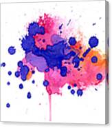 Multicolored Splash Canvas Print