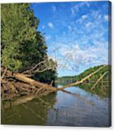 Myers Creek Morning Canvas Print