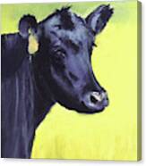 Nelson's Cow Canvas Print
