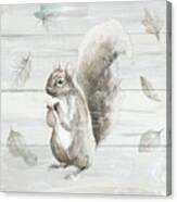 Neutral Squirrel Canvas Print