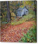 New England Autumn Woods Square Canvas Print