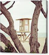 Newport Wedge Lifeguard Tower W Through Trees Canvas Print