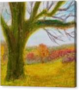 Northampton County Autumn Canvas Print
