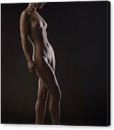 Nude Art In Low Key Canvas Print