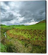 New Zealand Countryside Canvas Print