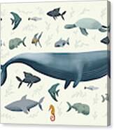 Ocean Life Canvas Print